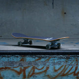 Skateboard Completes - Green Screen